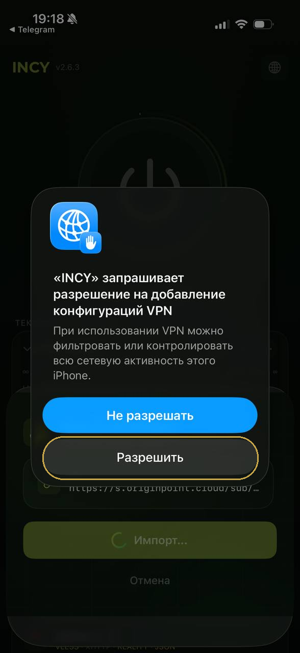 Выделенная кнопка Разрешить в системном окне iPhone